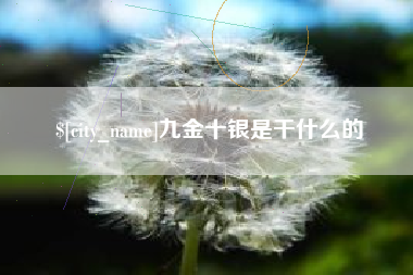 贵州九金十银是干什么的