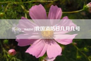 贵州我国消防日几月几号