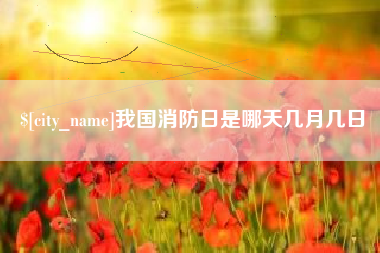 贵州我国消防日是哪天几月几日