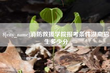 贵州消防救援学院报考条件湖南招生多少分