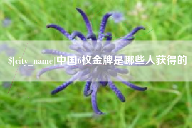 贵州中国6枚金牌是哪些人获得的