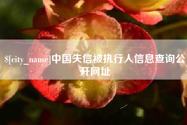 贵州中国失信被执行人信息查询公开网址