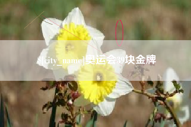 贵州奥运会39块金牌