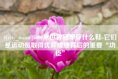 贵州5000米世界冠军穿什么鞋-它们是运动员取得优异成绩背后的重要“功臣”
