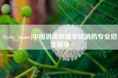 贵州中国消防救援学院消防专业招生简章