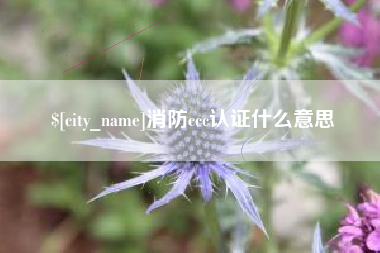 贵州消防ccc认证什么意思