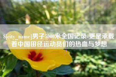 贵州男子5000米全国记录-更是承载着中国田径运动员们的热血与梦想