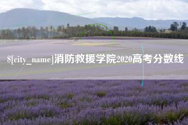 贵州消防救援学院2020高考分数线