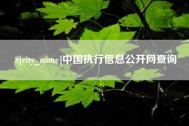贵州中国执行信息公开网查询