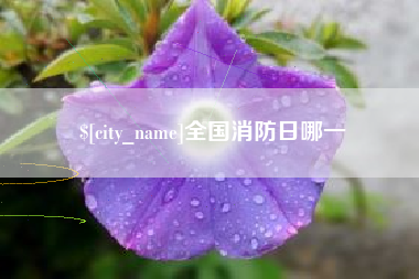 贵州全国消防日哪一