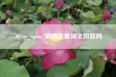 贵州消防证查询全国联网