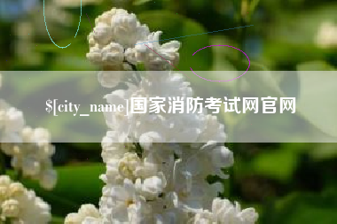 贵州国家消防考试网官网