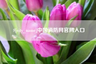 贵州中国消防网官网入口