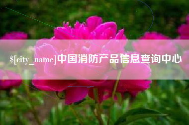 贵州中国消防产品信息查询中心