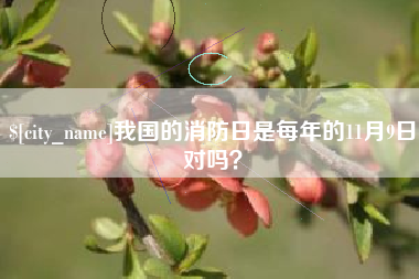 贵州我国的消防日是每年的11月9日对吗？