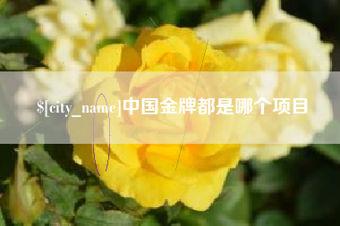 贵州中国金牌都是哪个项目
