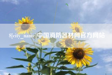 贵州中国消防器材网官方网站