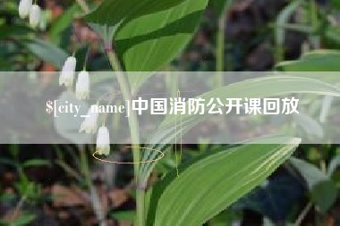 贵州中国消防公开课回放