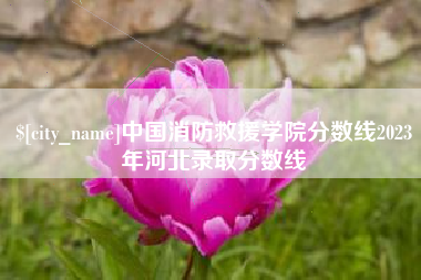 贵州中国消防救援学院分数线2023年河北录取分数线