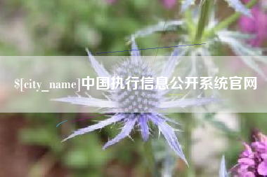 贵州中国执行信息公开系统官网