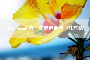 贵州第一波奥运金牌“九宫格”