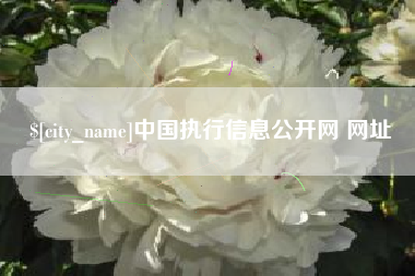 贵州中国执行信息公开网 网址