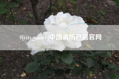 贵州中国消防产品官网