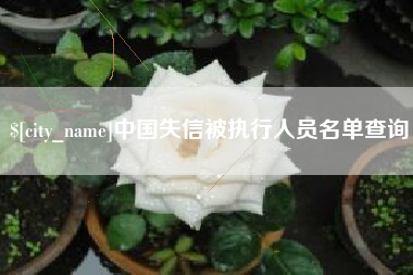 贵州中国失信被执行人员名单查询