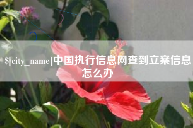贵州中国执行信息网查到立案信息怎么办