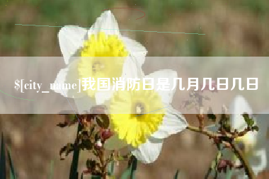 贵州我国消防日是几月几日几日