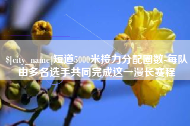 贵州短道5000米接力分配圈数-每队由多名选手共同完成这一漫长赛程
