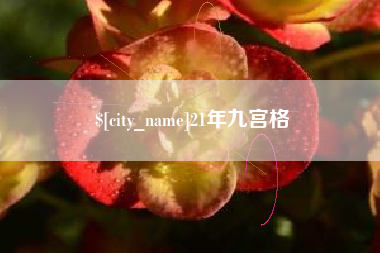 贵州21年九宫格