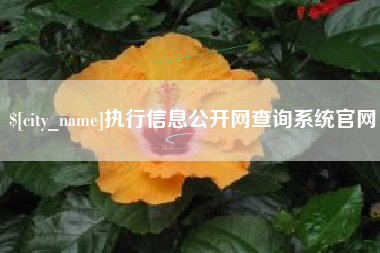 贵州执行信息公开网查询系统官网