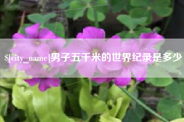 贵州男子五千米的世界纪录是多少