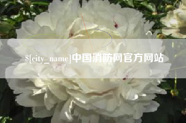 贵州中国消防网官方网站