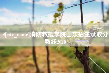 贵州消防救援学院山东招生录取分数线2020