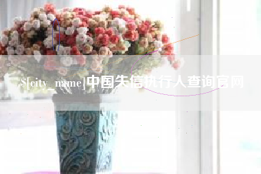 贵州中国失信执行人查询官网