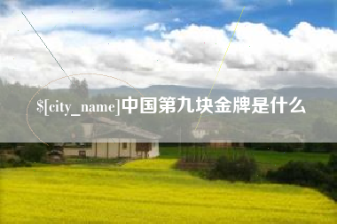 贵州中国第九块金牌是什么