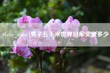 贵州男子五千米世界冠军奖金多少