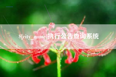 贵州执行公告查询系统