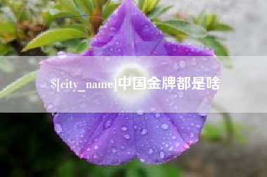 贵州中国金牌都是啥