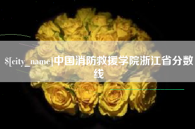 贵州中国消防救援学院浙江省分数线