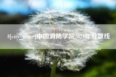 贵州中国消防学院2024年分数线