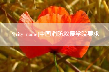 贵州中国消防救援学院要求