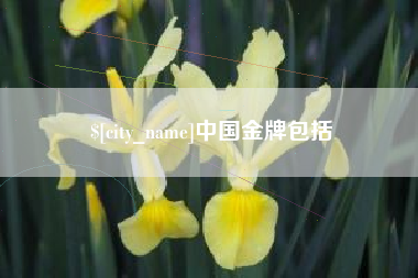 贵州中国金牌包括