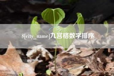 贵州九宫格数字排序