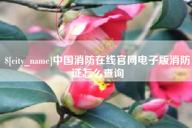 贵州中国消防在线官网电子版消防证怎么查询