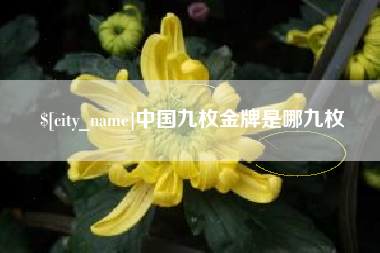 贵州中国九枚金牌是哪九枚