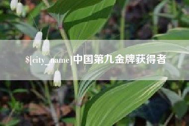 贵州中国第九金牌获得者