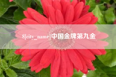 贵州中国金牌第九金